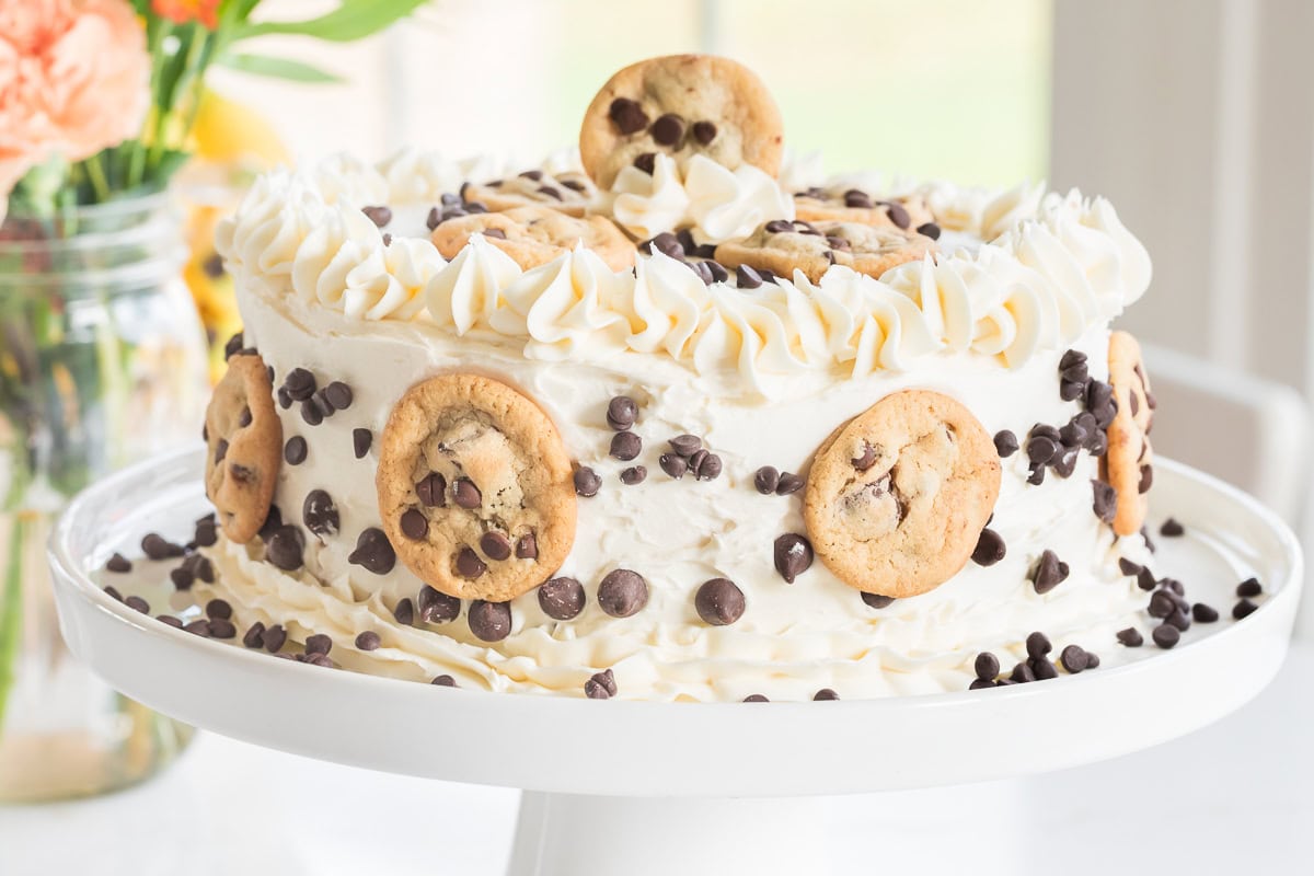 chocolate chip cake on a cake stand.