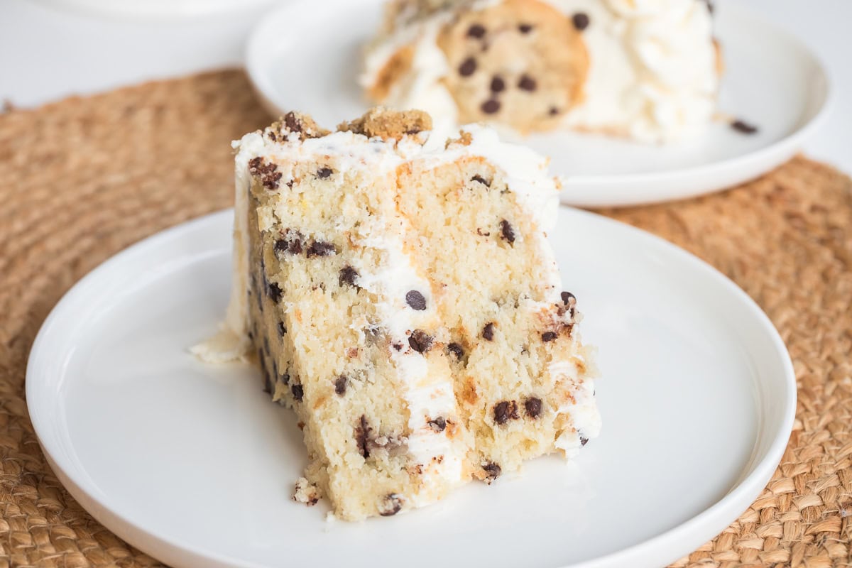 slice of chocolate chip cake on a white plate.