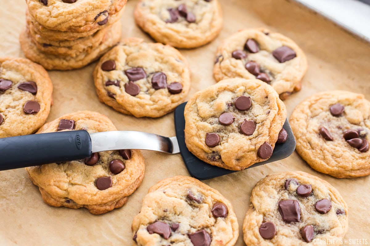 chocolate chip cookies on a parchment lined baking sheet with one cookie on a cookie spatula