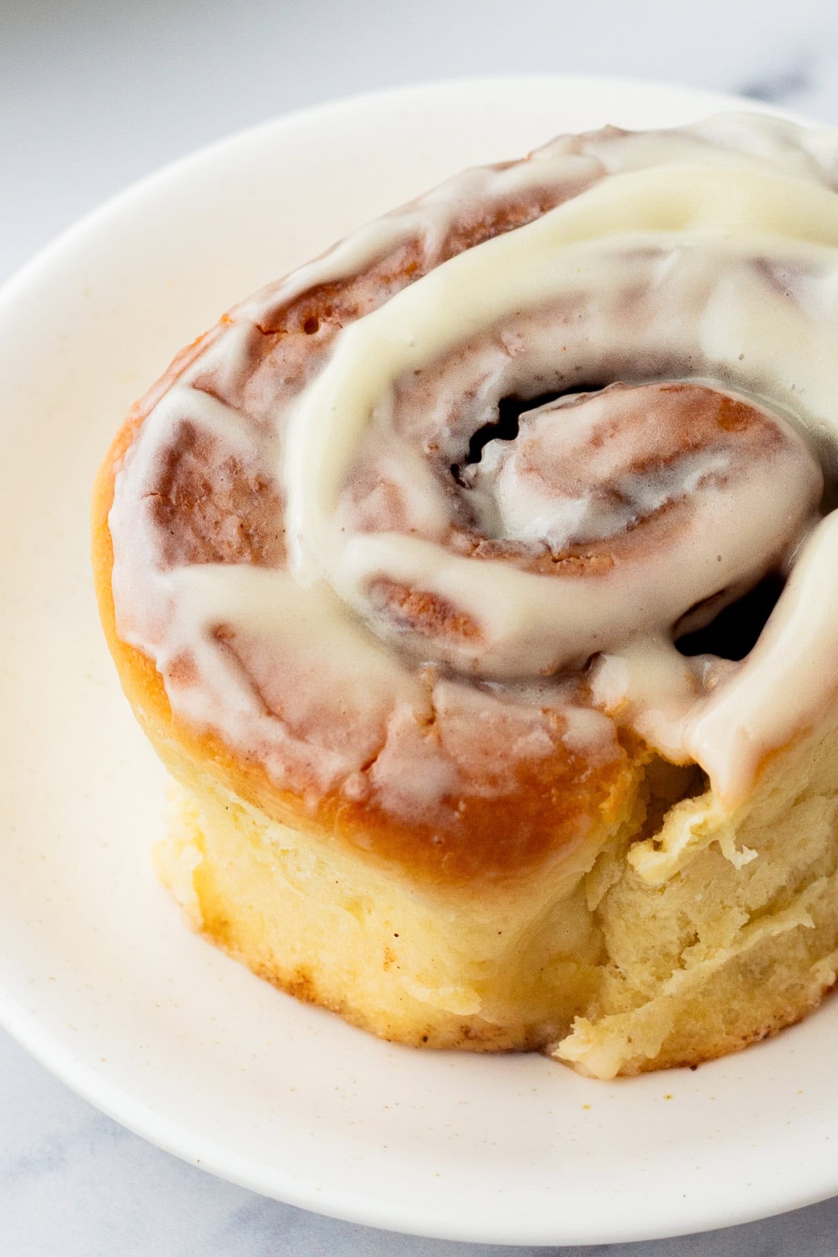 close up of a cinnamon roll.