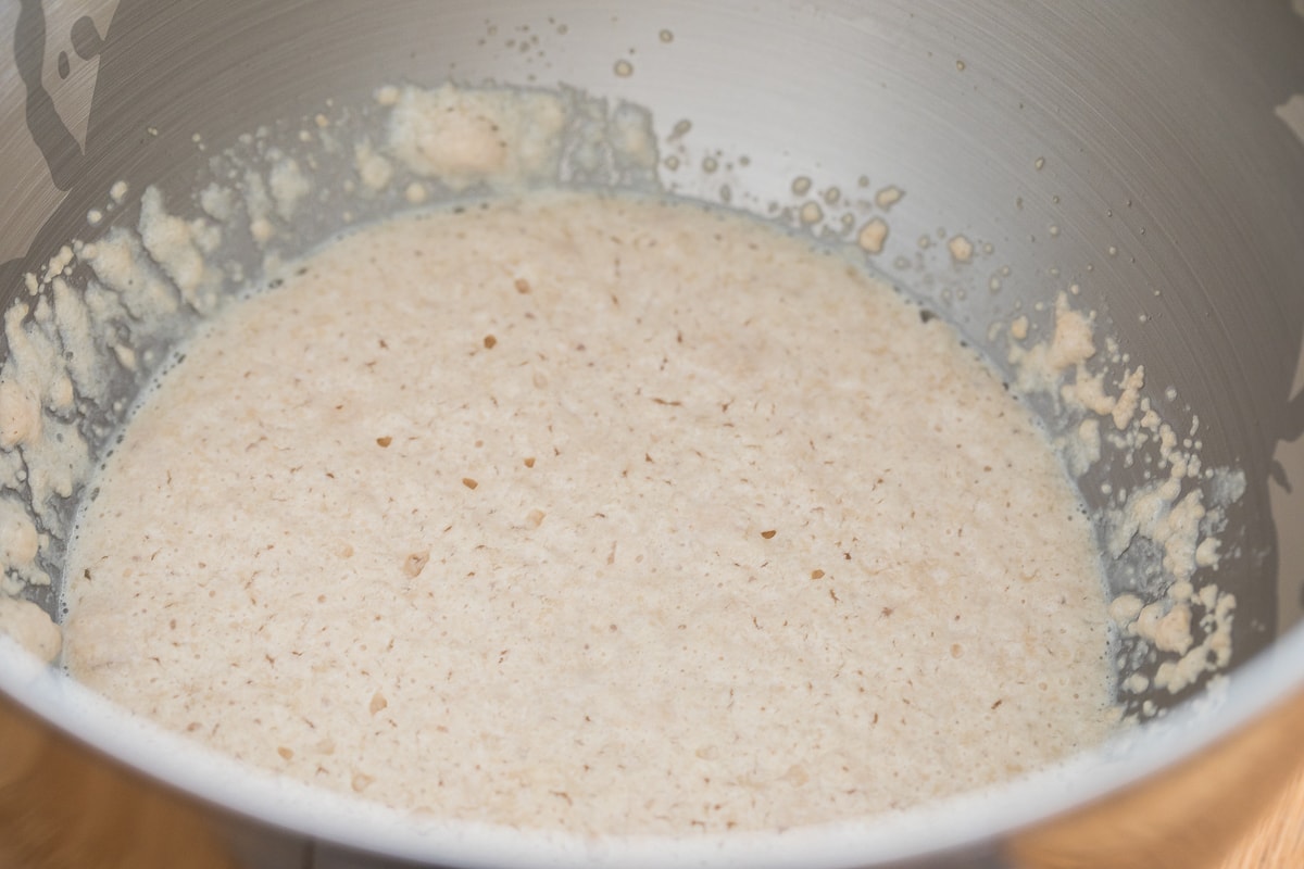 bloomed yeast in a stainless steel bowl.