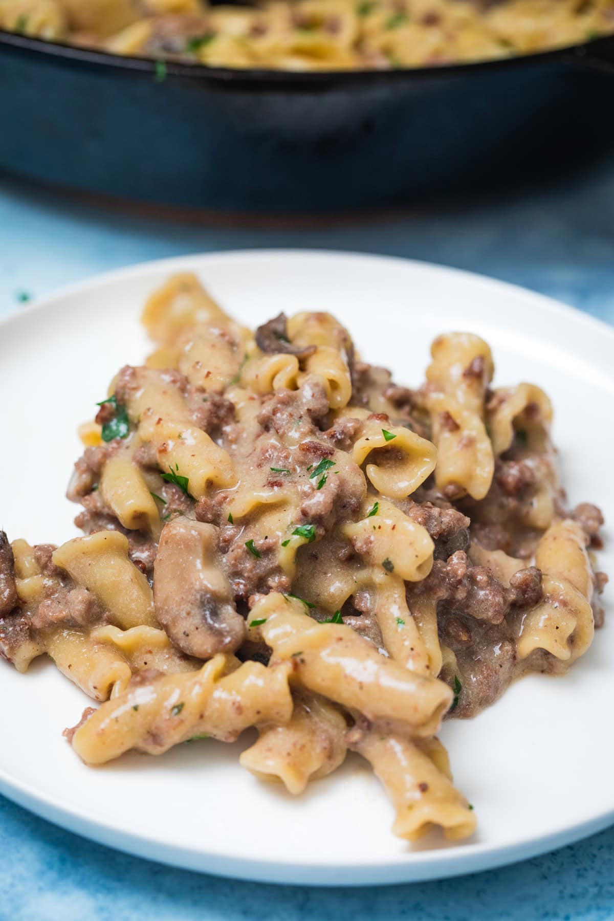 ground beef stroganoff on a white plate.