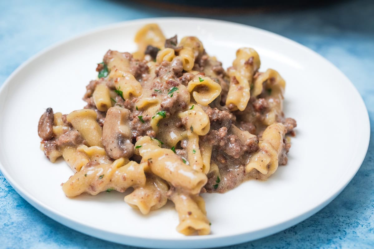 fresh ground beef stroganoff on a white plate.