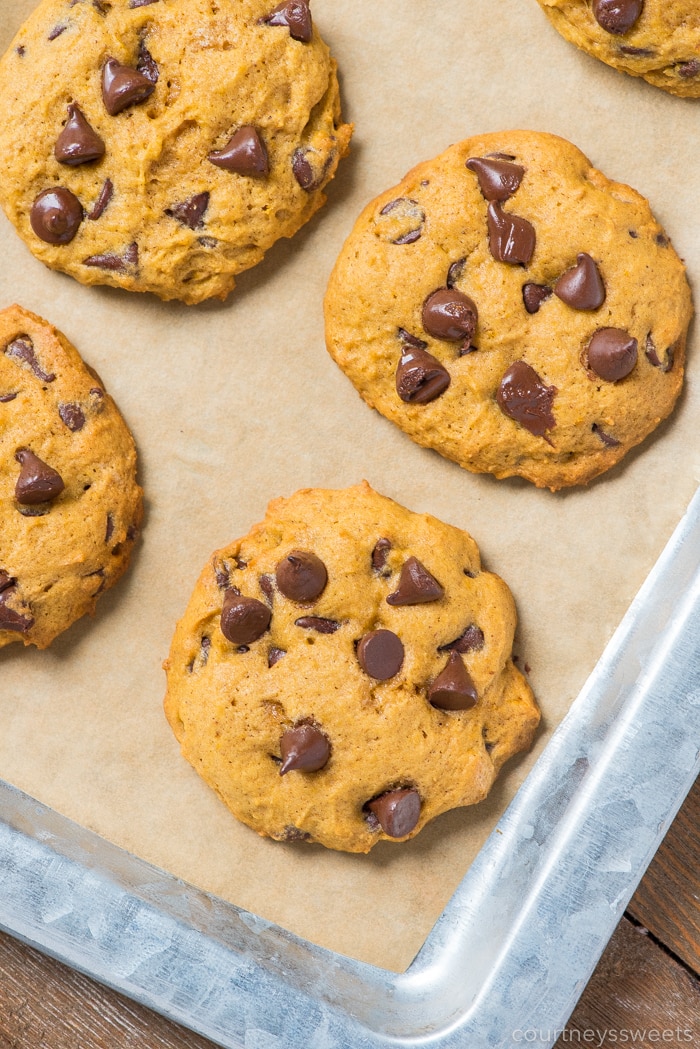 pumpkin chocolate chip cookies on parchment paper on a sheet pan