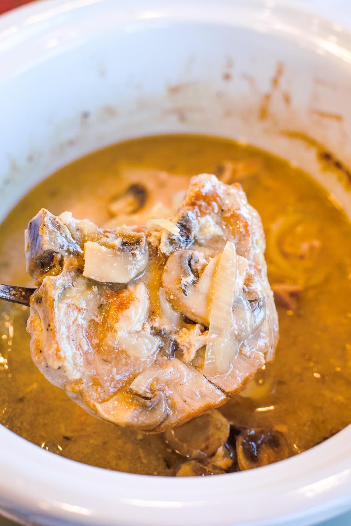 cooked bone in pork chop in slow cooker being help up by a spoon to show it.