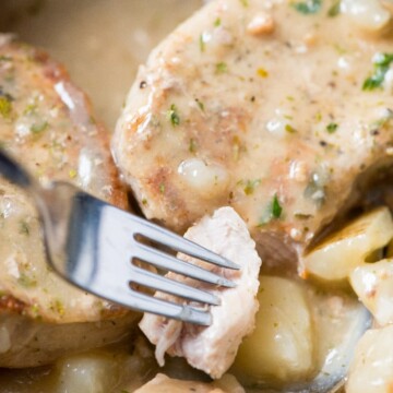 easy crockpot pork chops