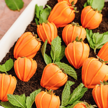 dirt cake with crushed oreos as dirt and mint as leaves with chocolate covered strawberries covered in orange candy melts as pumpkins.